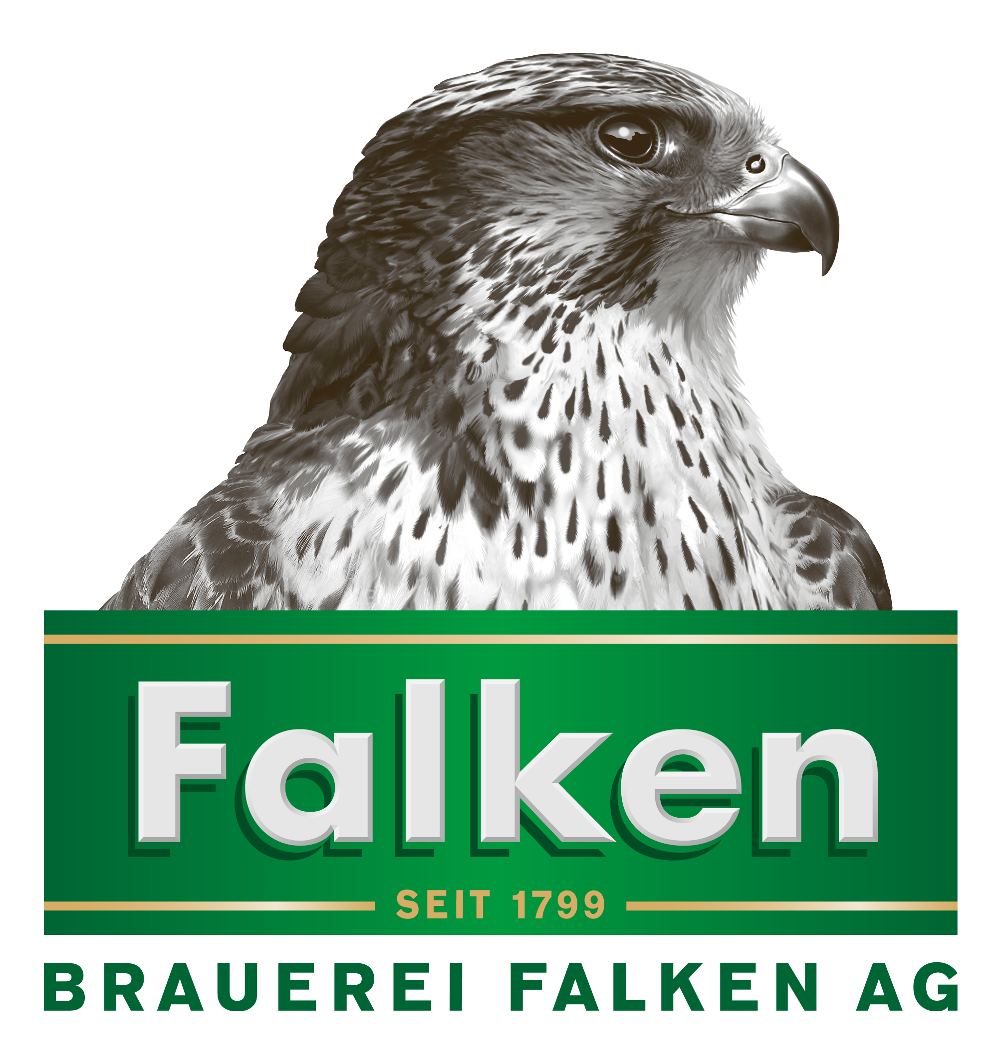 Partner Logo